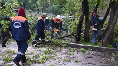 Во время урагана в Москве тяжело пострадали трое детей