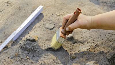 В Красноярском крае нашли новое скопление костей динозавров и мамонтов