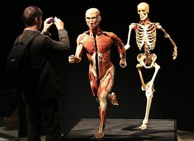 В Женеве открылась выставка скандального анатома фон Хагенса