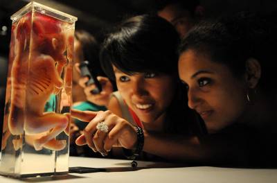 В Женеве открылась выставка скандального анатома фон Хагенса