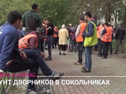 Сотни дворников осадили администрацию Сокольников
