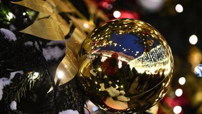 В Москве гости рождественского фестиваля познакомятся со Скандинавией