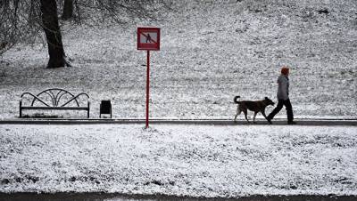 Москву в понедельник ожидает сильный снегопад