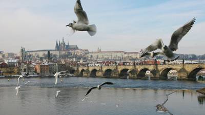 В Праге рухнул пешеходный мост через Влтаву