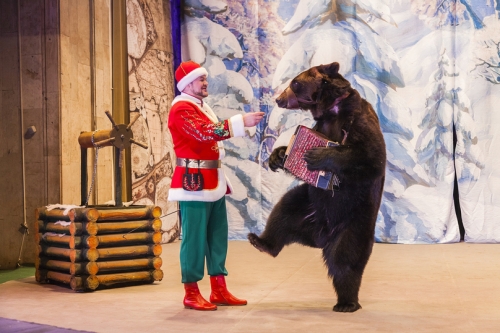 Дуров устроил новогоднюю сказку с огромным бегемотом