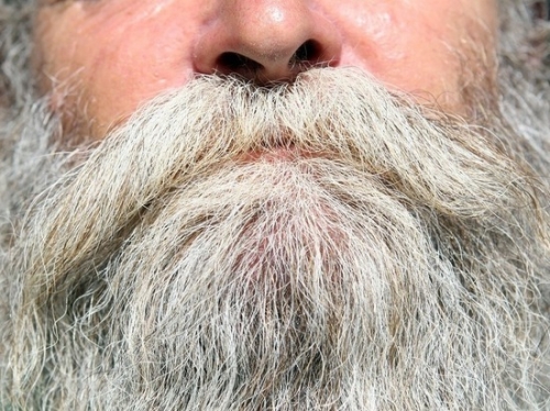 Серебро в бороду: в волосах сибиряков обнаружили драгоценный металл