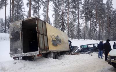 В Ленобласти маршрутка на встречке столкнулась с грузовиком. Погибли 9 человек