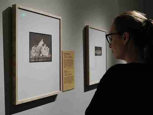 Пушкинский музей показал редкие образцы угасающего искусства изобретателя фотографии Тальбота