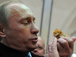 Выборы имени Путина – лев против кроликов, брошенных ему на съедение