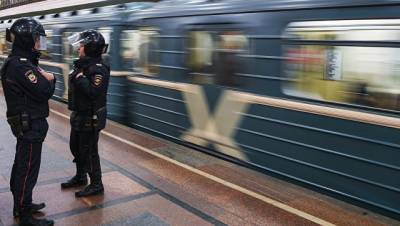 В Москве погибла женщина после падения на рельсы станции метро Царицыно