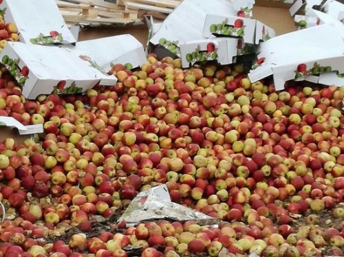 Россия запретила поставки яблок с 31 белорусского предприятия