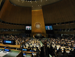 Украина заблокировала заявление СБ ООН, посвященное Виталию Чуркину ‍