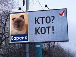 Кто на новенького?