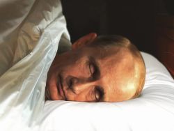 Песков: Путин переночевал в тайге