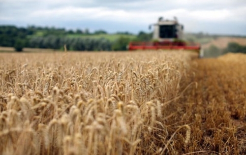 Агроэкспорт Украины вырос почти на 40 процентов