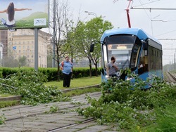 Ураган унес жизни 11 человек в Москве