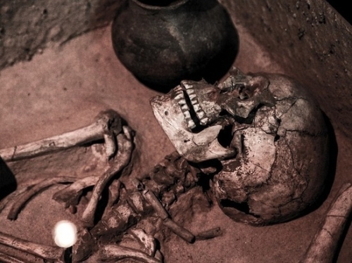 Ученые рассказали, чьи кости нашли на Сретенке