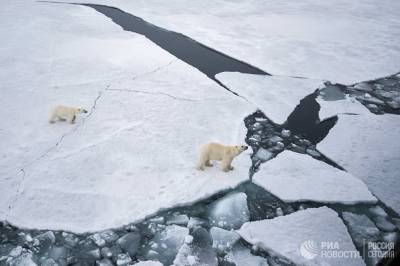 Китай и Россия подписали международные соглашения по исследованию Арктики