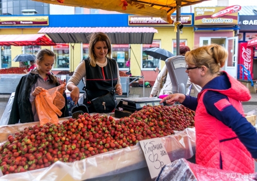 Dark Markets Turkey