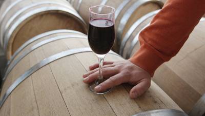 Российские ученые раскрыли секрет работы вишневых бочек для вина