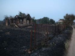 Пострадавшие от пожаров в Волгоградской области получат материальную компенсацию
