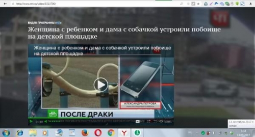 Найдена информация опровергающая версию ТВ о драке матерей в СПб