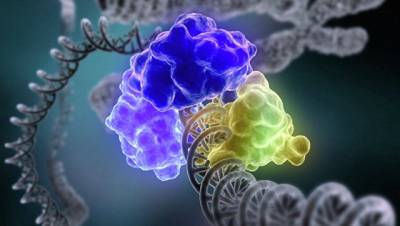 Ученые создали первый полноценный корректор одиночных мутаций в ДНК