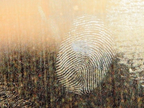 В Удмуртии работник ФСИН выдал свои отпечатки пальцев за бандитские