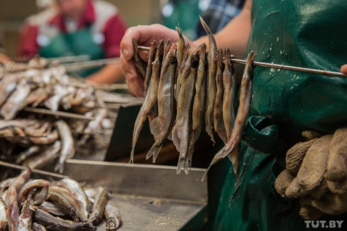 В Минске пройдет очередная рыбная ярмарка. Где будут продавать рыбу по привлекательным ценам
