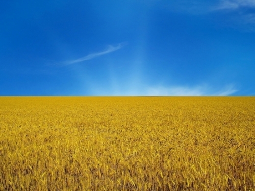 Украина голодает: у населения нет денег на еду