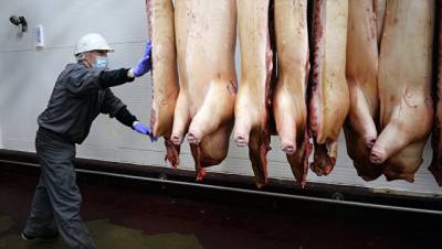 Источник: ЕС примет меры, если спор по свинине не разрешат в рамках ВТО