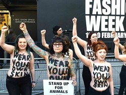 Открытие Лондонской недели моды ознаменовалось топлес протестом защитников животных