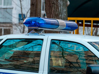 В Москве задержали рисовальщиков подписей за кандидатов в Мосгордуму