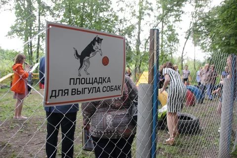 Породы собак, выгул которых без намордника запрещен на законодательном уровне РФ