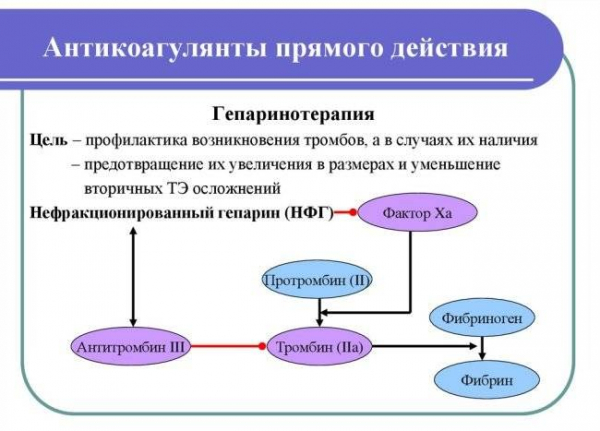 Как работают разжижители крови