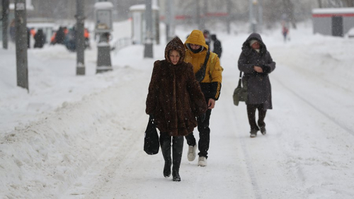 Синоптики пообещали плюсовую температуру в Московском регионе 30 декабря
