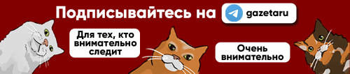 «Наша миссия — показать миру силу русского духа». Интервью с участником кругосветного путешествия Евгением Ковалевским 