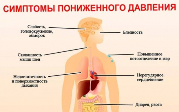 8 продуктов, которые могут помочь бороться с гипотонией