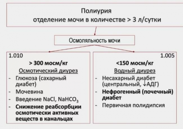 Как справиться с повышенным мочеиспусканием при диабете