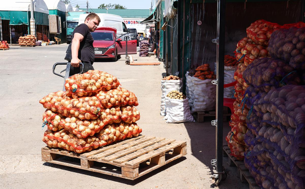 
                    Как цена лука превысила ₽70 за 1 кг. Инфографика

                