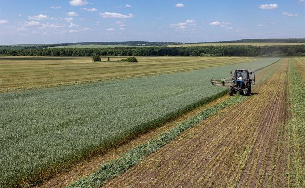 
                    Путин подписал указ о спецсчетах для расчета в рублях за сельхозтовары

                