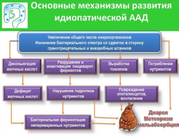 Что такое идиопатическая диарея: симптомы, варианты лечения