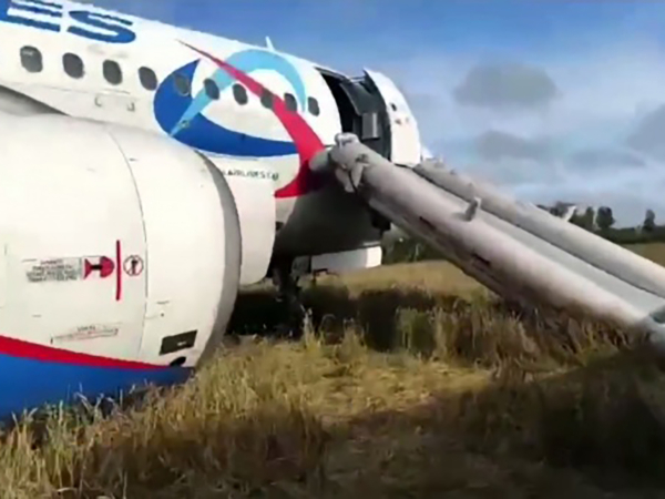 «Настоящее чудо»: эксперты подробно разобрали посадку самолета А-320 с пассажирами в поле под Новосибирском (ВИДЕО)