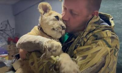 В Запорожье полицейские спасли маленькую львицу