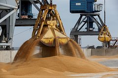 Украина захотела ужесточить контроль над экспортерами зерна