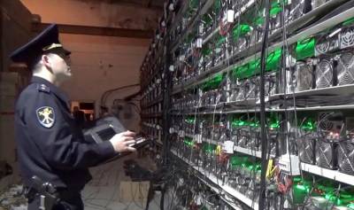 Майнинг в коровнике с имитацией мычания