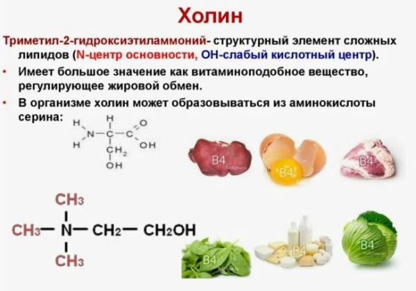 Из каких продуктов можно получить холин